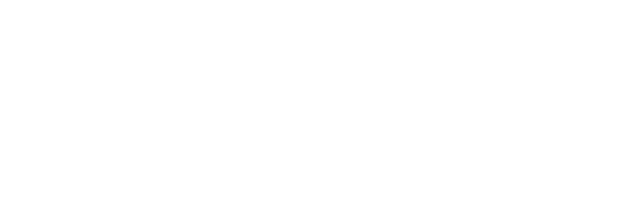 The University of Sydney